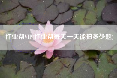 作业帮VIP(作业帮每天一天能拍多少题)