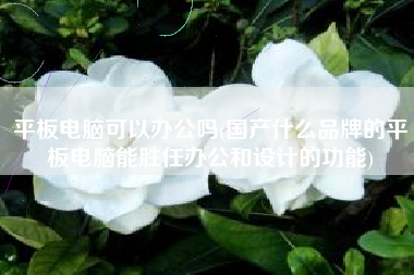 平板电脑可以办公吗(国产什么品牌的平板电脑能胜任办公和设计的功能)