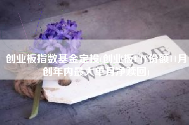 创业板指数基金定投(创业板ETF份额11月创年内最大单月净赎回)