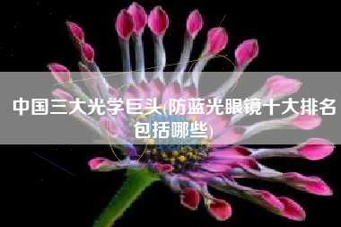 中国三大光学巨头(防蓝光眼镜十大排名包括哪些)