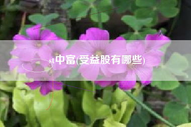 st中富(受益股有哪些)