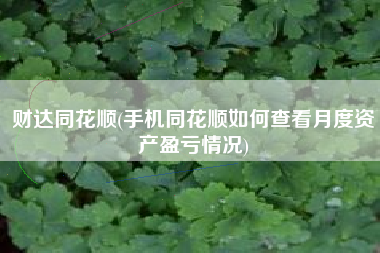 财达同花顺(手机同花顺如何查看月度资产盈亏情况)