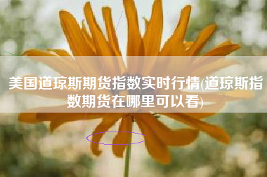 美国道琼斯期货指数实时行情(道琼斯指数期货在哪里可以看)