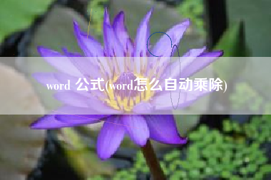 word 公式(word怎么自动乘除)
