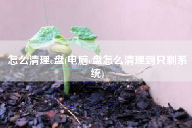怎么清理c盘(电脑c盘怎么清理到只剩系统)