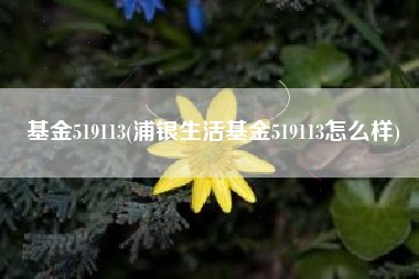 基金519113(浦银生活基金519113怎么样)