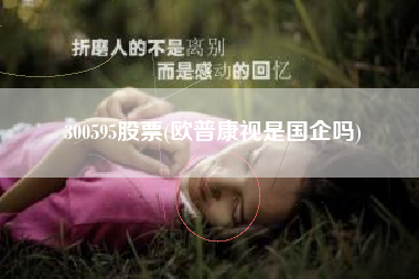 300595股票(欧普康视是国企吗)
