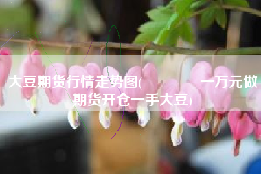 大豆期货行情走势图(🈶一万元做期货开仓一手大豆)