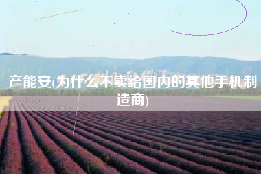 产能安(为什么不卖给国内的其他手机制造商)