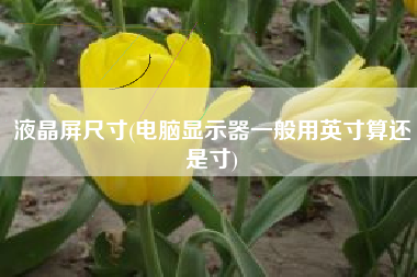 液晶屏尺寸(电脑显示器一般用英寸算还是寸)