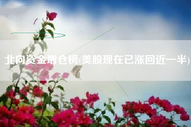 北向资金增仓榜(美股现在已涨回近一半)