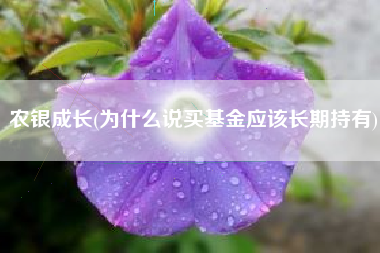 农银成长(为什么说买基金应该长期持有)