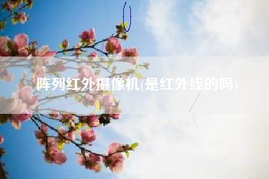 阵列红外摄像机(是红外线的吗)