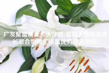 广发聚富基金今天净值(富国天惠精选成长混合型和汇添富优势精选如何)
