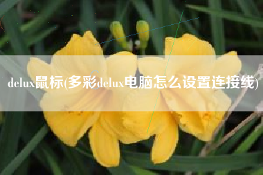 delux鼠标(多彩delux电脑怎么设置连接线)