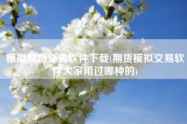 模拟期货交易软件下载(期货模拟交易软件大家用过哪种的)