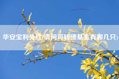 华安宝利分红(请问可转债基金有哪几只)