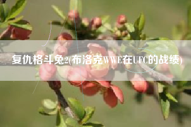 复仇格斗兔2(布洛克WWE在UFC的战绩)