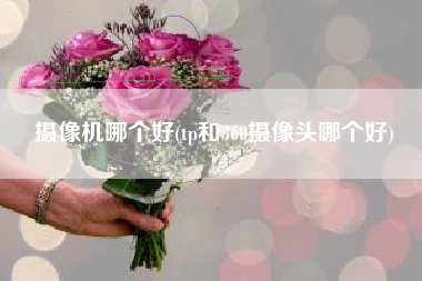 摄像机哪个好(tp和360摄像头哪个好)