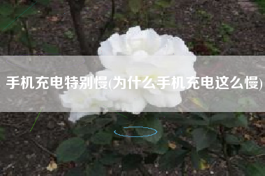 手机充电特别慢(为什么手机充电这么慢)