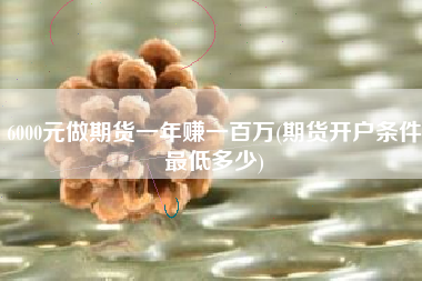 6000元做期货一年赚一百万(期货开户条件最低多少)