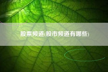 股票频道(股市频道有哪些)