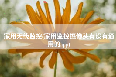 家用无线监控(家用监控摄像头有没有通用的app)