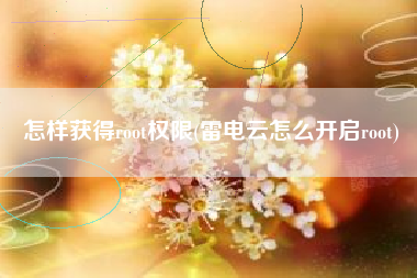 怎样获得root权限(雷电云怎么开启root)