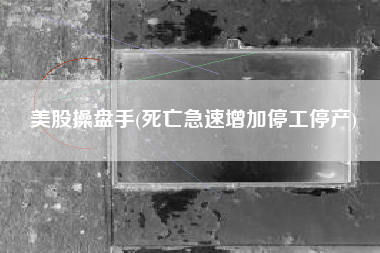 美股操盘手(死亡急速增加停工停产)