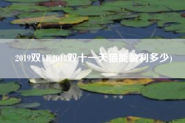 2019双11(2018双十一天猫能盈利多少)
