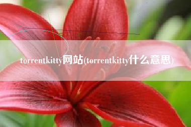 torrentkitty网站(torrentkitty什么意思)