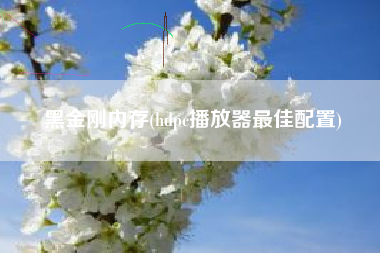 黑金刚内存(hdpc播放器最佳配置)