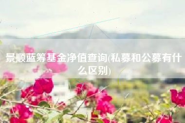 景顺蓝筹基金净值查询(私募和公募有什么区别)