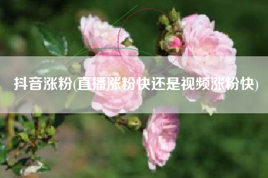 抖音涨粉(直播涨粉快还是视频涨粉快)