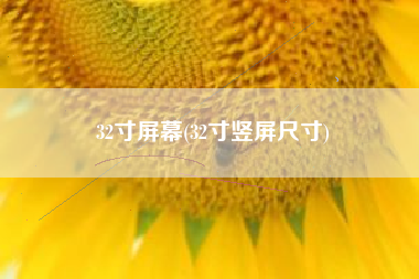 32寸屏幕(32寸竖屏尺寸)