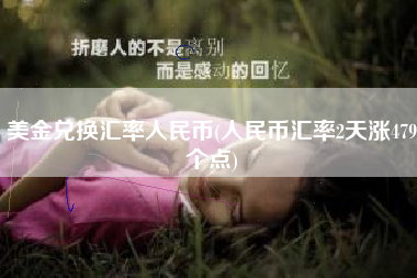 美金兑换汇率人民币(人民币汇率2天涨479个点)