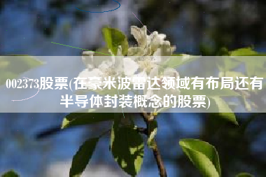 002373股票(在豪米波雷达领域有布局还有半导体封装概念的股票)