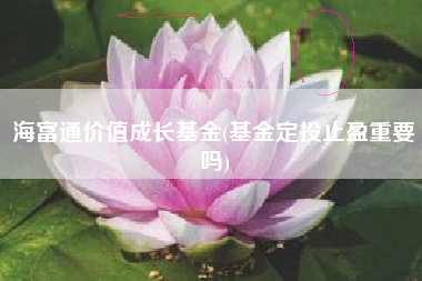 海富通价值成长基金(基金定投止盈重要吗)