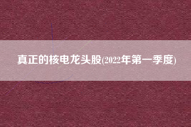 真正的核电龙头股(2022年第一季度)