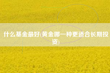 什么基金最好(黄金哪一种更适合长期投资)