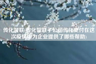传化智联(传化智联子公司传化支付在这次疫情中为企业提供了哪些帮助)