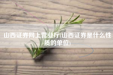 山西证券网上营业厅(山西证券是什么性质的单位)