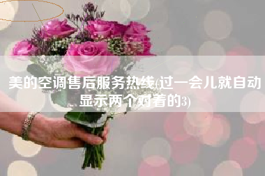 美的空调售后服务热线(过一会儿就自动显示两个对着的3)