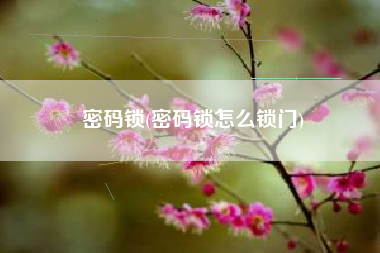 密码锁(密码锁怎么锁门)