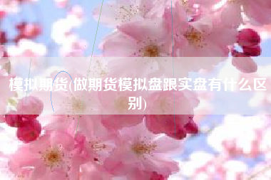 模拟期货(做期货模拟盘跟实盘有什么区别)