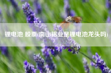 锂电池 股票(南山铝业是锂电池龙头吗)