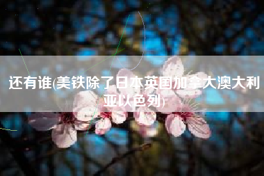 还有谁(美铁除了日本英国加拿大澳大利亚以色列)