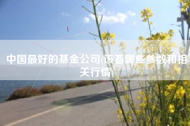 中国最好的基金公司(该看哪些参数和相关行情)
