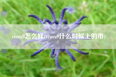 vivox9怎么样(vivox9什么时候上的市)