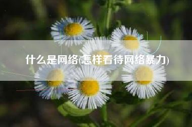 什么是网络(怎样看待网络暴力)